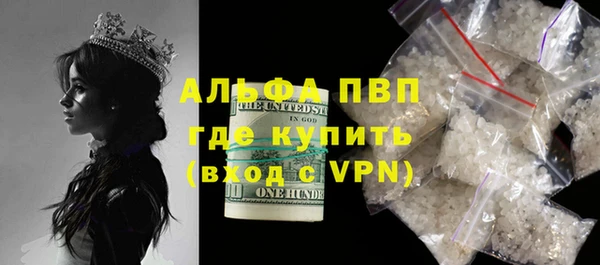 стафф Арсеньев