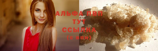 спиды Армянск