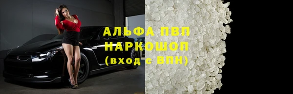 стафф Арсеньев