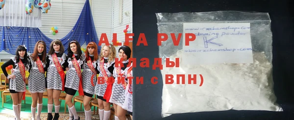 стафф Арсеньев